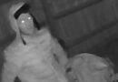 CCTV Image Released Following Early-Morning Burglary in Thornhill